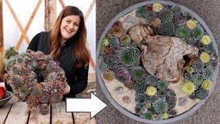 Old Sempervivum Wreath Turned into New Arrangement! 👍💚 // Garden Answer