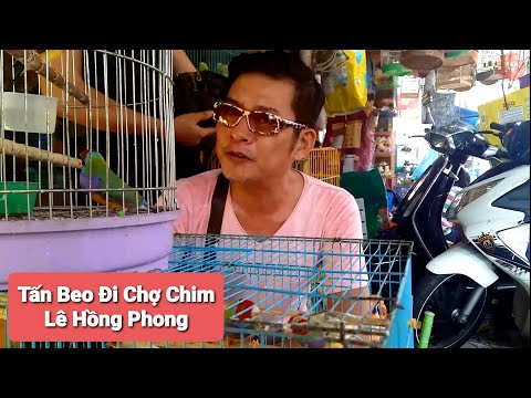 Đời Thường Nghệ Sĩ | Tấn Beo Đi Chợ Chim Lê Hồng Phong #2 | KanTV