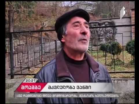 სოფელ ყუმურში ძმამ ძმა სანადირო თოფით მოკლა