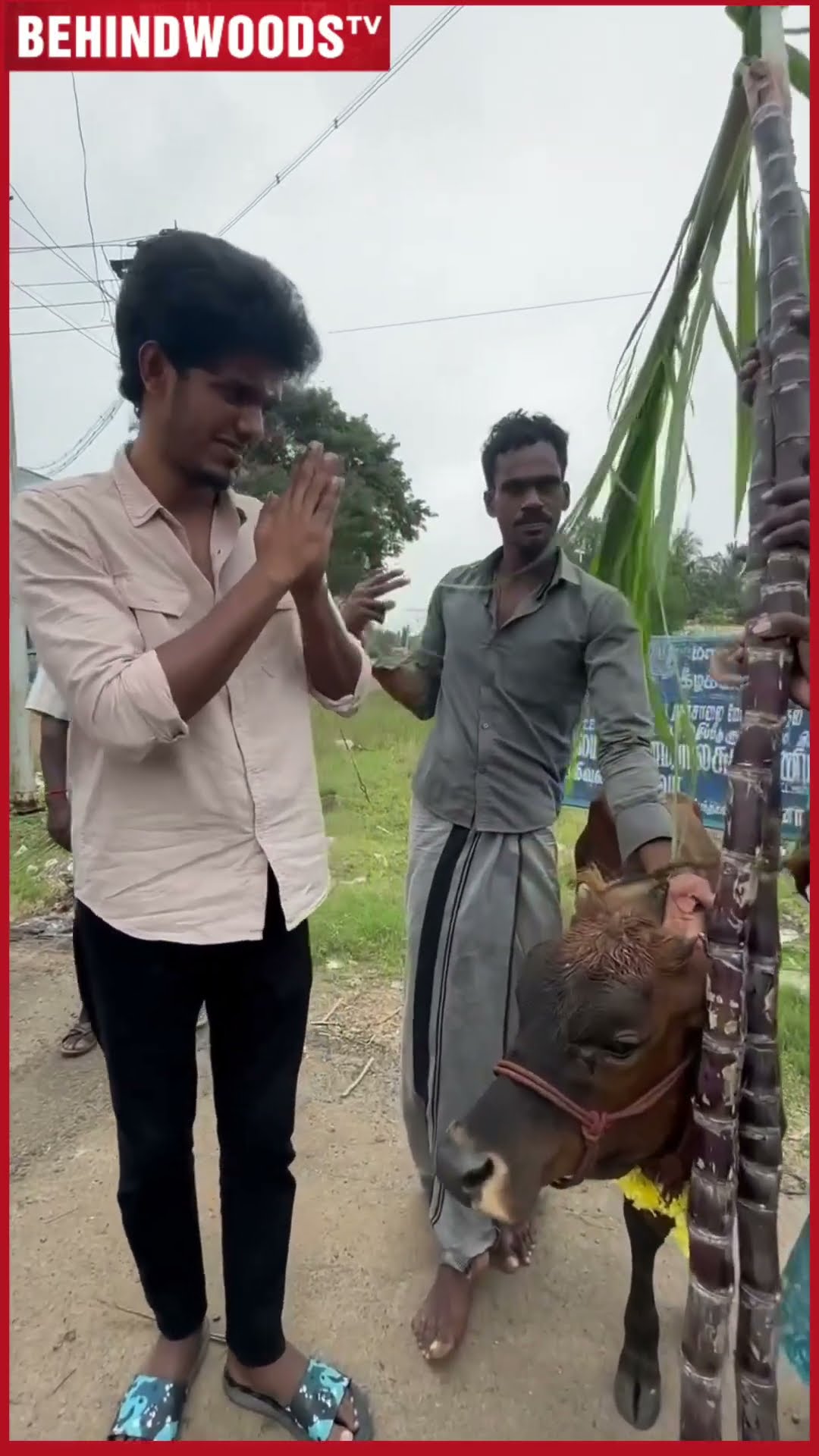 10 விவசாயி வீட்டுக்கு போய் 10 மாடுகள் கொடுத்த Bala ? இப்போதான் மா மனசுக்கு நிரைவா இருக்கு