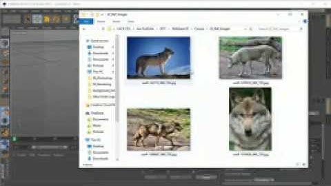 Learn Cinema 4D  Low Poly Wolf part 2