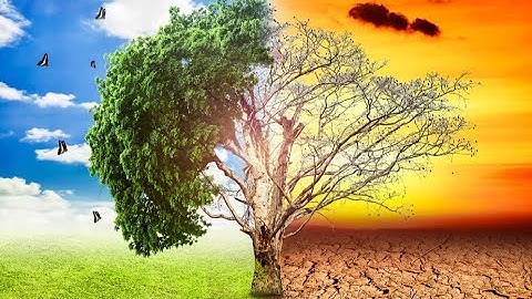 CHUYÊN ĐỀ 1: BIẾN ĐỔI KHÍ HẬU