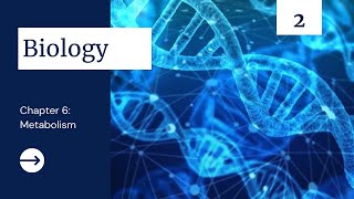 AP Biology Chapter 6: Metabolism