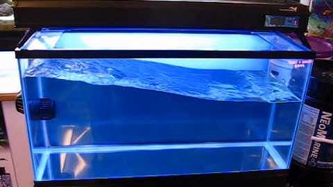 EcoTech Vortech Large Wave Demo