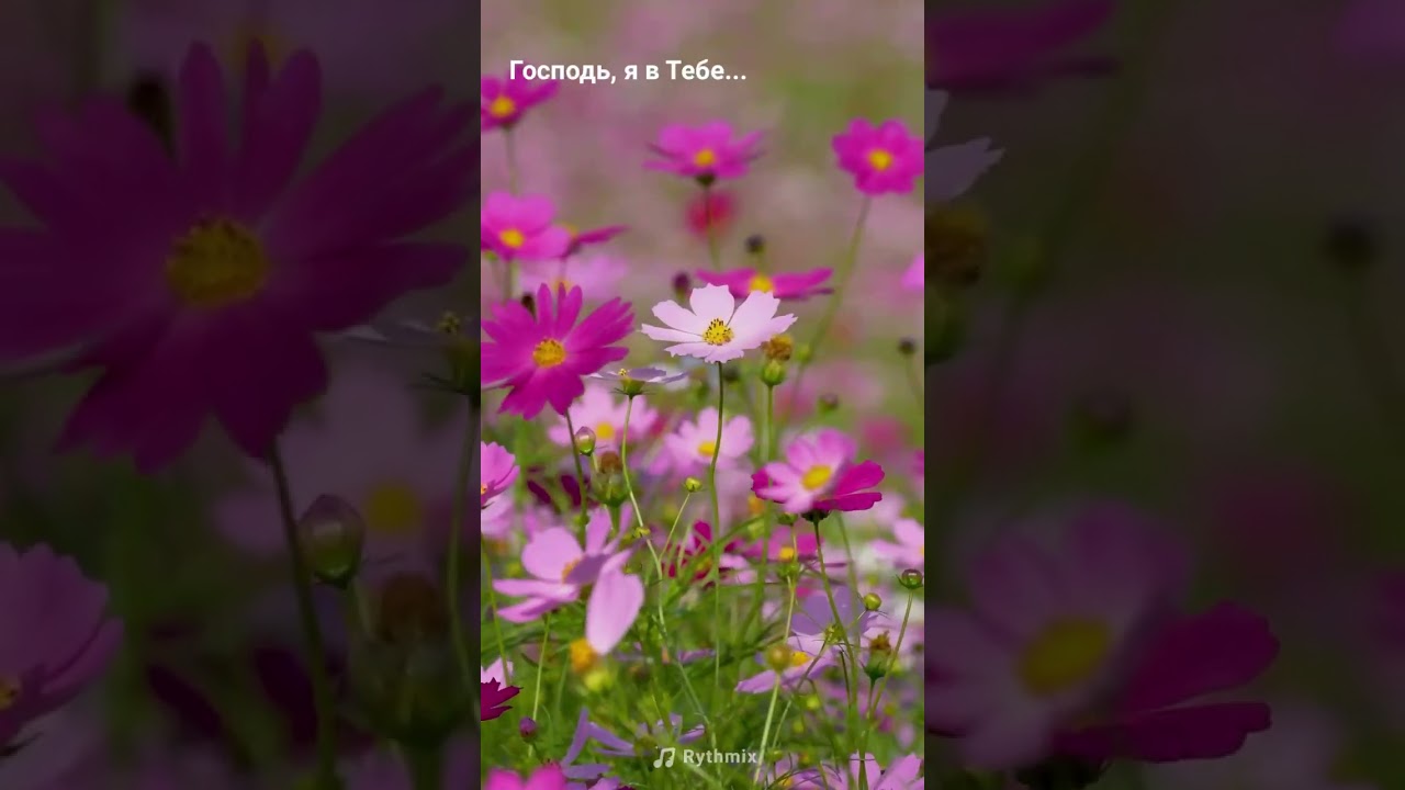 Господь , я в тебе нашел спасенье 