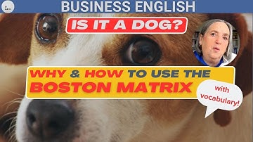 IS IT A DOG? - why and how to use the Boston Matrix