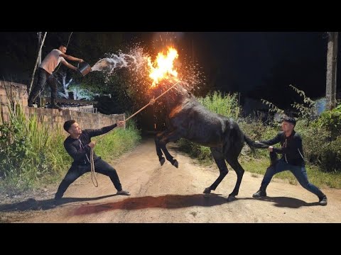 WE CAPTURED THE HEADLESS MULE AND THREW HOLY WATER ON IT