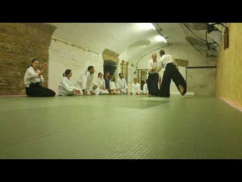 Aikido keiko: Csák Gergely 4. dan aikikai in Budapest