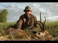 ROE DEER SIBERIAN HUNTING (Chasse) 2009 CHEVREUIL SIBERIE 2009 by Seladang