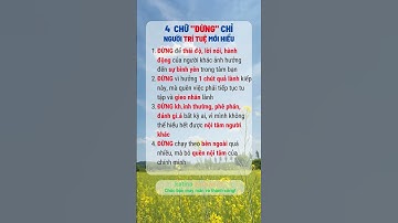 4CHỮ ĐỪNG,#katinachannel24#baihoccuocsong#kynangsongvui#tintuc #taichinh#trending#tips#xuhuongreels