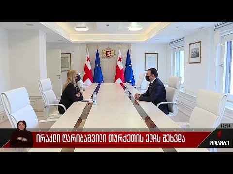 ღარიბაშვილის ვიზიტი თურქეთში