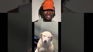 How to Make a Cop Blush Daily Dose HAPPY DOG | REACTION VIDEO