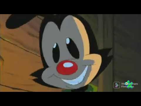 Animaniacs El Deseo de Wakko en Discovery Kids (Noviembre 2022) YouTube