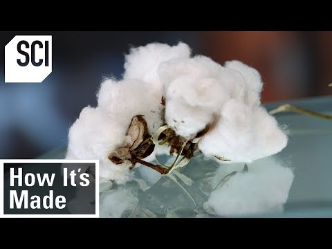 How Cotton is Processed in Factories | How It’s