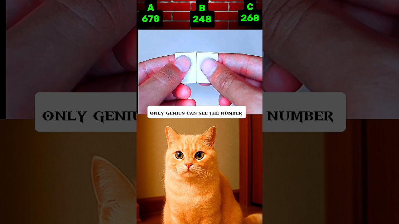  Trust Your Gut A B Or C Shorts Popular Trend Memes Viral Letest Cat Trending