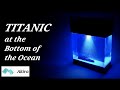 TITANIC at the Bottom of the Ocean / 海底のタイタニック【レジン】