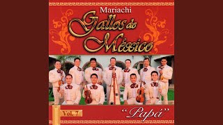 Video thumbnail of "Mariachi Gallos De Mexico - Amarte a La Antigua"