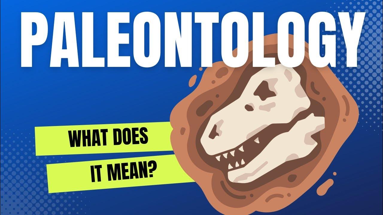 What Does It Mean? What Is Paleontology? YouTube