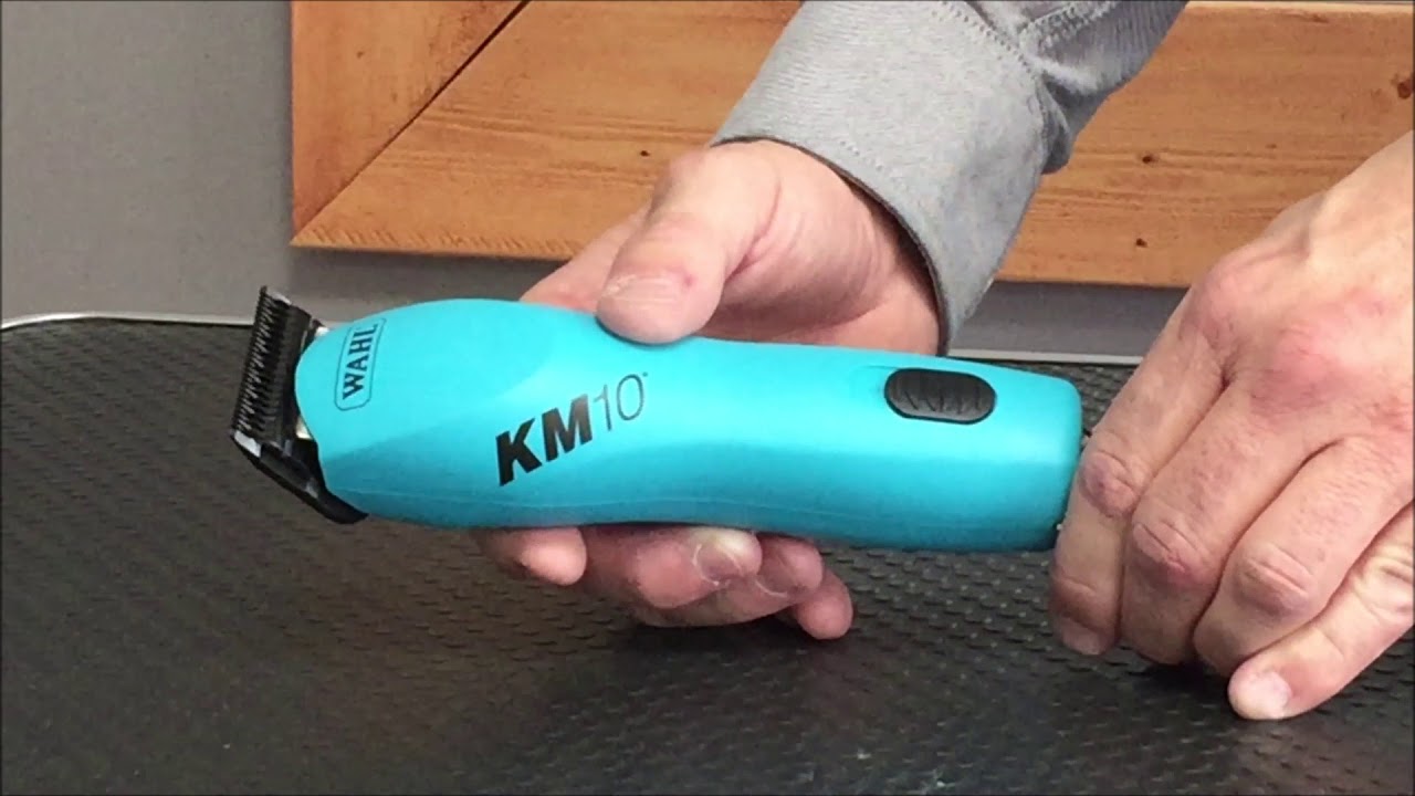 wahl km5 review