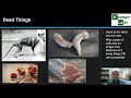 Understanding Living, Nonliving, and Dead Things