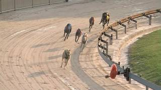 GARDENS-03122016-RACE-4