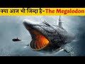 Largest Shark in The World - The Megalodon in Hindi | दुनिया की सबसे बड़ी शार्क Megalodon