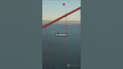 Building Bridges  The Art and Science #ai #facts #animalintelligence