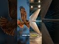5 Human Technologies Inspired Directly By Animals