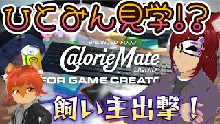 【カロリーメイトリキッド】飼い主がやりたいって騒いでます【#ひとrisらいぶ  】