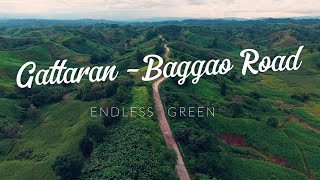 Cornfield Skies Gattaran - Baggao Road