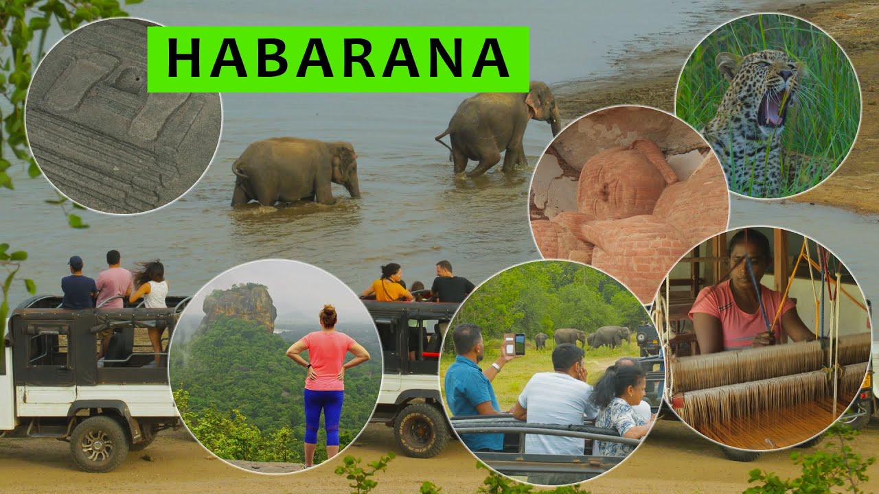 Хабарана | Шри-Ланка