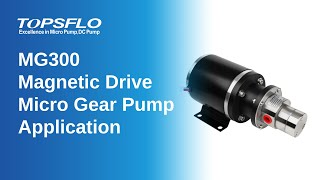 MG300 Magnetic Drive Gear Pump Uses | Applications