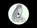 Ricardo villalobos  owls talk