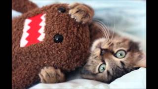 Download lagu Kissing In Cars Lyrics With Danbo and Domo Kissing In Cars Lyrics With Danbo and Domo