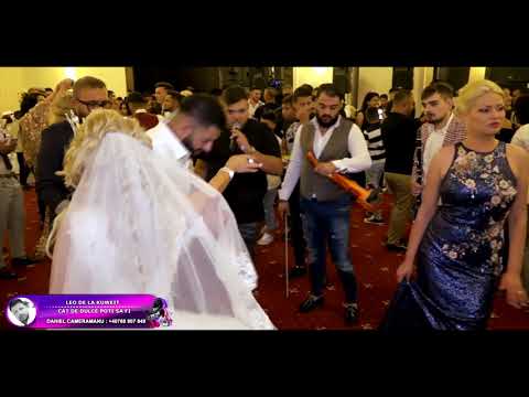Leo de la Kuweit - Cat de dulce poti sa fi by DanielCameramanu 2018 la Tulcea