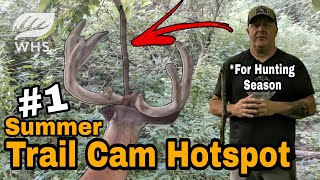Try THIS Summer Trail Cam Hunting Hotspot