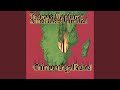 Manhungetunge - Thomas Mapfumo & The Blacks Unlimited