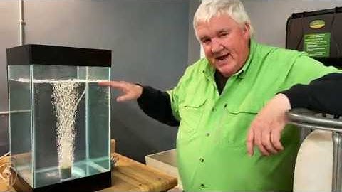 What Makes O2 Grow Special?