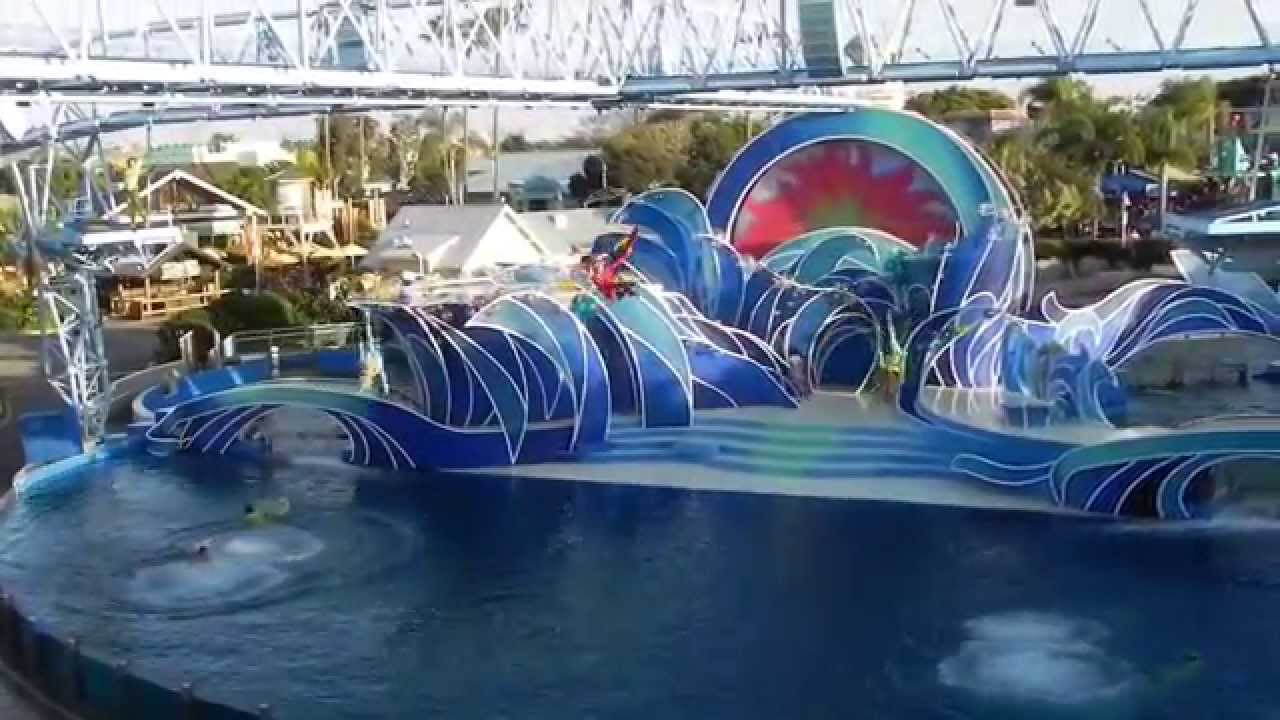 Sea World San Diego Circus Acts in the Dolphin Tank YouTube