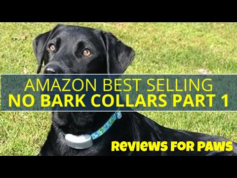 amazon-best-selling-bark-collars-~-dog-christmas-gifts-2019-~