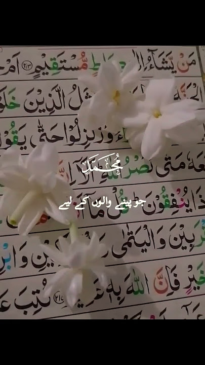 #alquran #alquran #youtubevideos