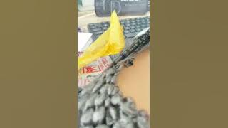 Unboxing raket nyamuk starco - for tokopedia