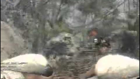 Triple Kill Knifing  CTF