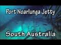 Freediving Port Noarlunga Jetty, South Australia