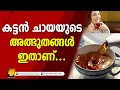 കട്ടൻ ചായയുടെ അത്ഭുതങ്ങൾ ഇതാണ്... | BLACK TEA BENEFITS