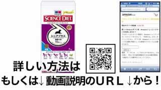 サイエンスダイエット シニアプラス 小粒 高齢犬用 7kg 格安&無料価格でGETする方法を期間限定で紹介中