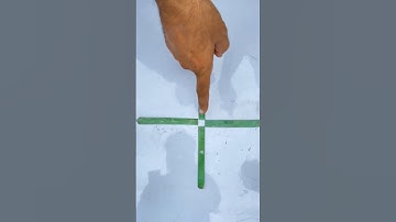 1 डिब्बा बनाओ 🤑✅✌️💵 #bestplayer #solvematch #mindblowingpuzzles #matchtricks #bestplayer1 #puzzle