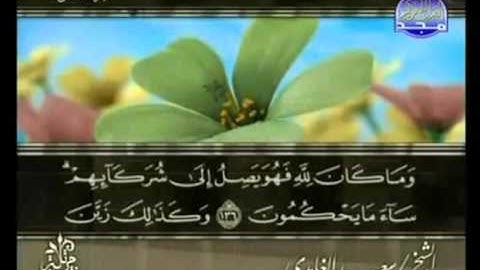 القران الكريم|الجزء الثامن (8)|الشيخ سعد الغامدى