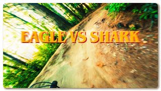 Download Lagu Low Key Super D - Eagle vs Shark - 8th place RACE RUN! MP3