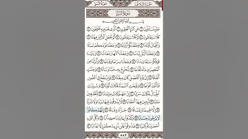 سورة النبأ 